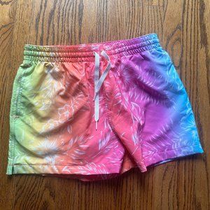 Chubbies 4" Swim Trunk, medium